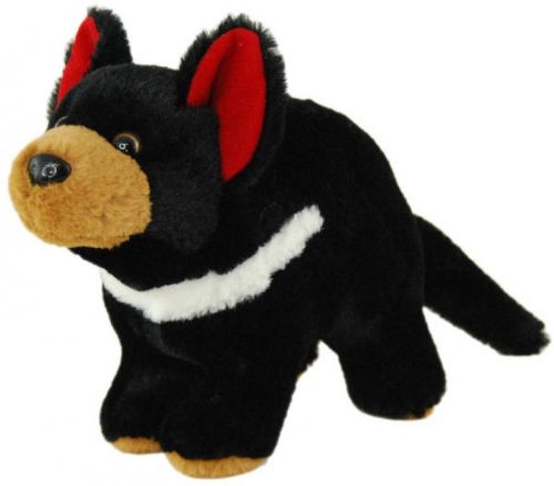 Picture of TASMANIAN DEVIL