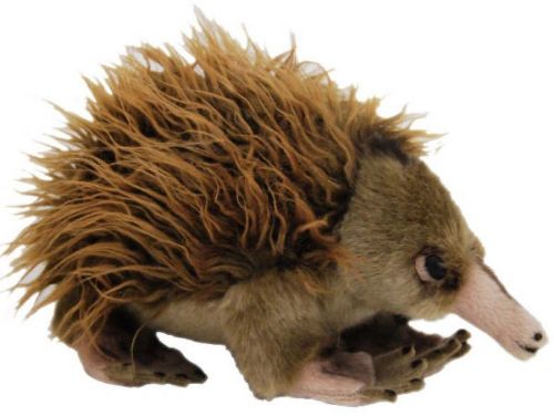 Picture of ECHIDNA GANYI 22CM