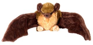 Picture of LITTLE BROWN BAT