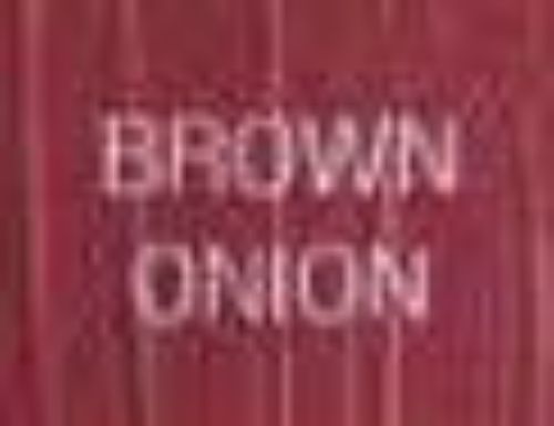 Picture of ATELIER S1 BROWN ONION