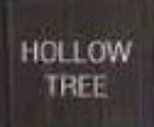 Picture of ATELIER S1 HOLLOW TREE